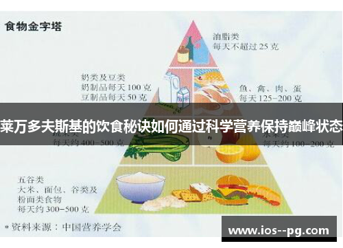 莱万多夫斯基的饮食秘诀如何通过科学营养保持巅峰状态