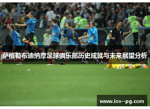 萨格勒布迪纳摩足球俱乐部历史成就与未来展望分析