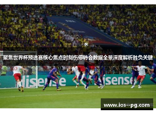 聚焦世界杯预选赛核心焦点时刻伤停转会数据全景深度解析胜负关键