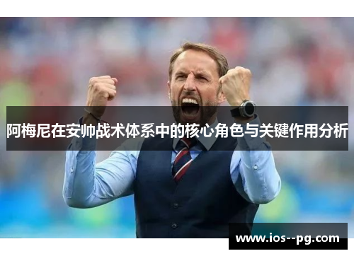 阿梅尼在安帅战术体系中的核心角色与关键作用分析 阿梅尼在安帅战术体系中的核心角色与关键作用分析