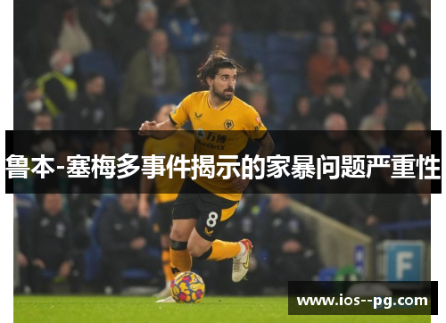 鲁本-塞梅多事件揭示的家暴问题严重性